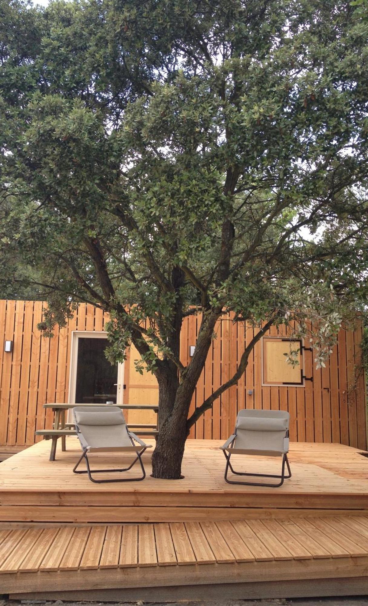 Lodges En Provence - Ecogites & Restaurant Insolites Richerenches Zimmer foto